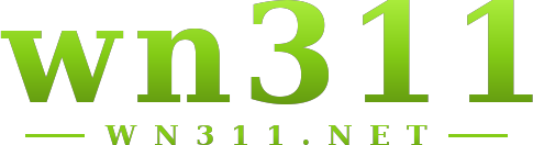 wn311 logo